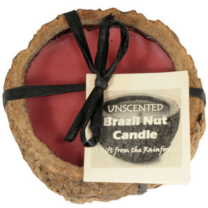 Brazil Nut Candle - Unscented